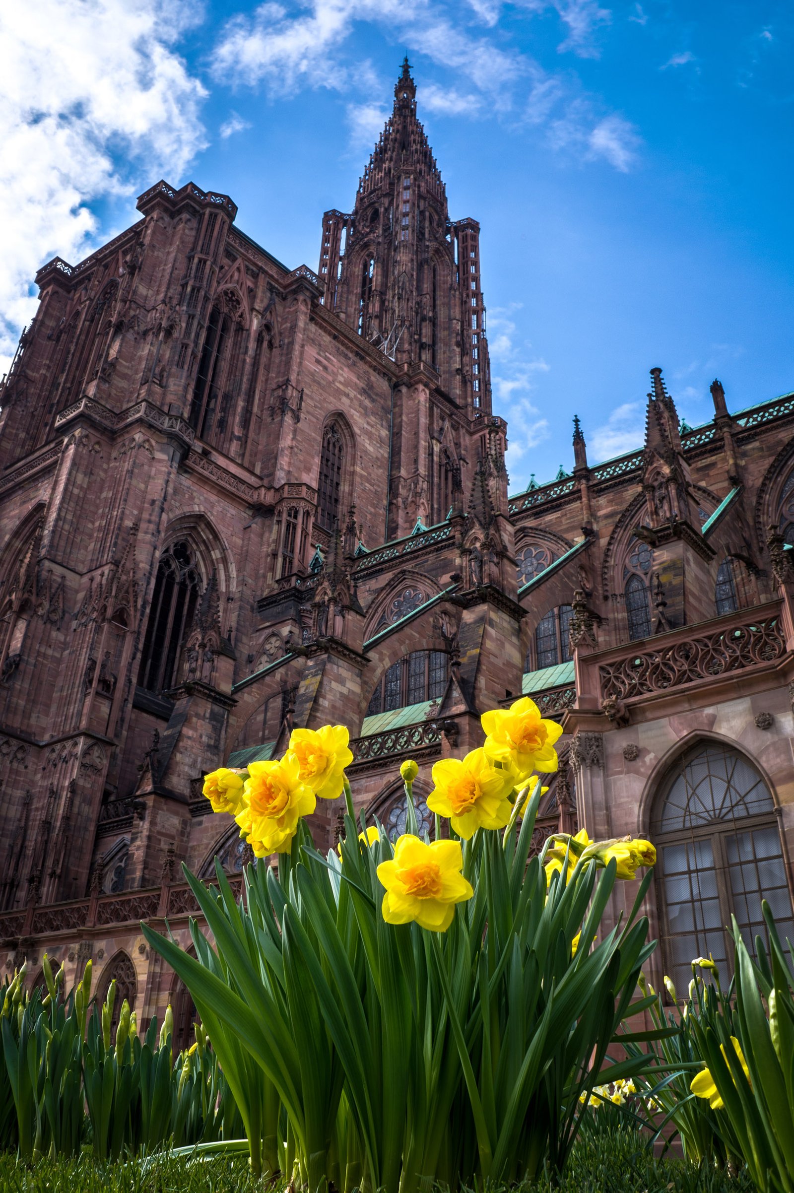 Strasbourg Roman Catholic Cathedral (France) is an awesome piece of architecture built entirely in the Middle Ages. It was the world's tallest building from 1647 to 1874 (the main tower is 142 metres high), and today it's the sixth-tallest church in the world and the highest extant structure built entirely in the Middle Ages.
You must go and see the lovely structure, the sculpted walls, the size of the interior... it's a place to go.
And of course, it's surrounded with a beautiful French old town all around!